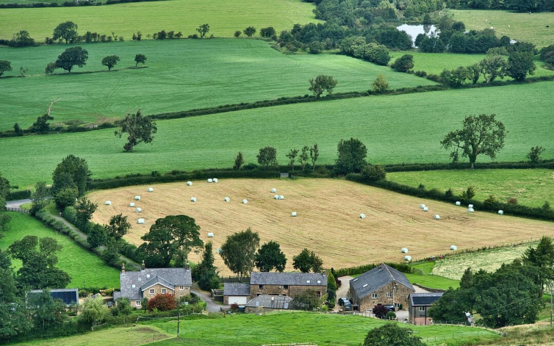 PEUT-ON (ENCORE) SAUVER LE MODÈLE AGRICOLE FRANÇAIS?