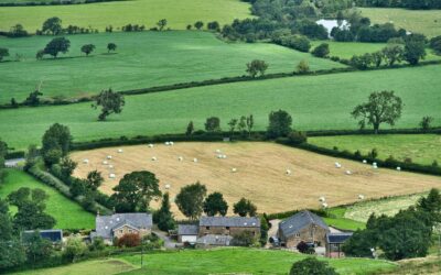 PEUT-ON (ENCORE) SAUVER LE MODÈLE AGRICOLE FRANÇAIS?